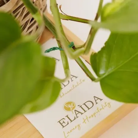 Elaida - Studio,θέα θάλασσα & βουνό,μάνη