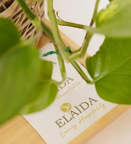 Elaída - Studio,θέα θάλασσα&βουνό,μάνη